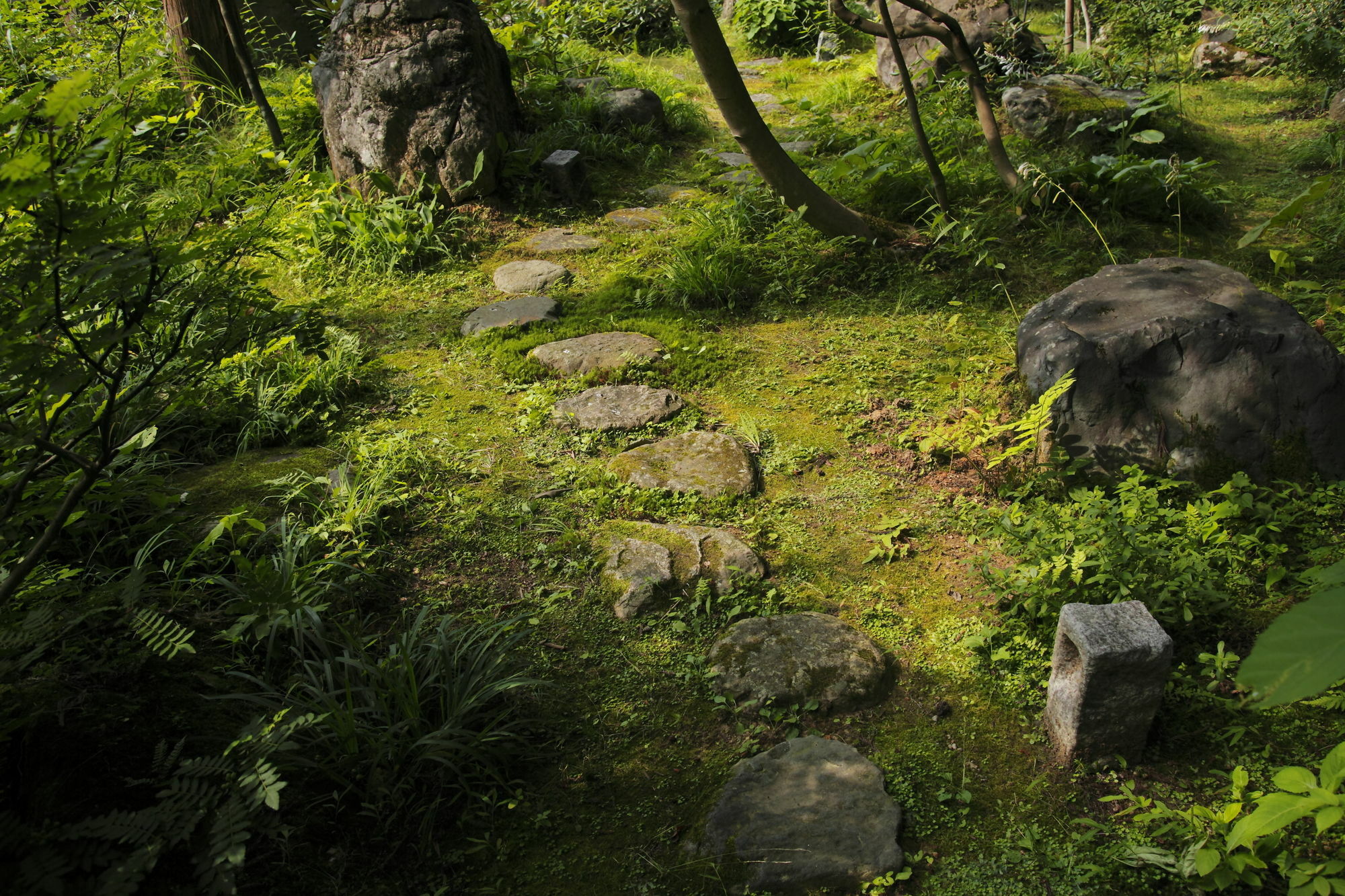 Ichirino Kogen Hotel Roan Hakusan Exterior photo