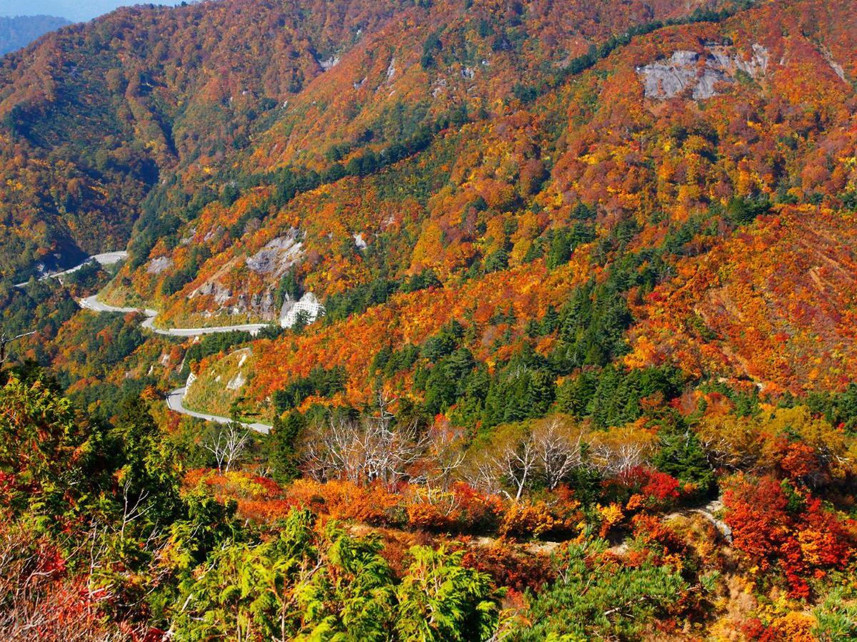 Ichirino Kogen Hotel Roan Hakusan Exterior photo